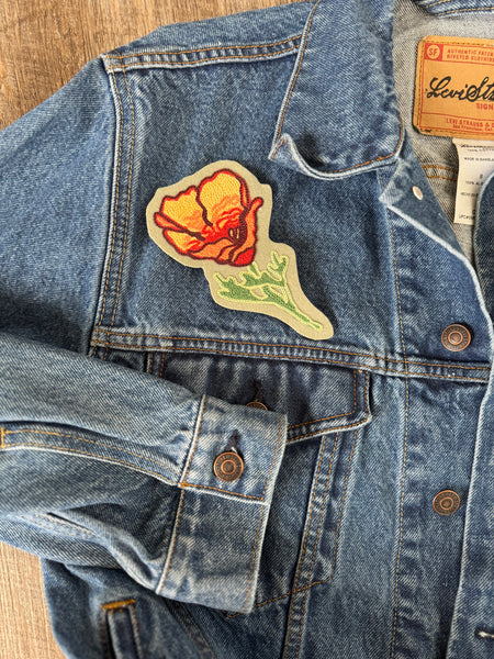 California Poppy