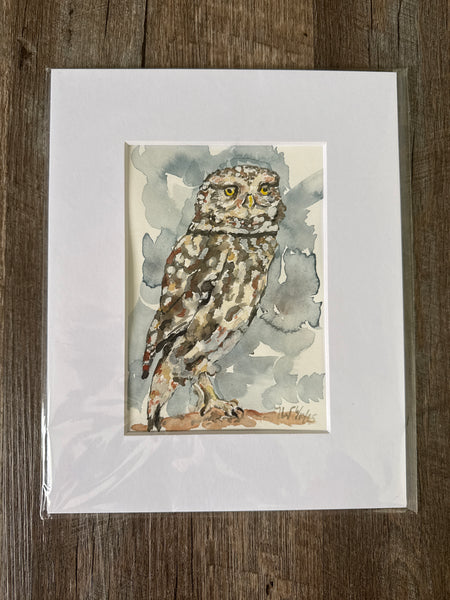 Burrowing Owl