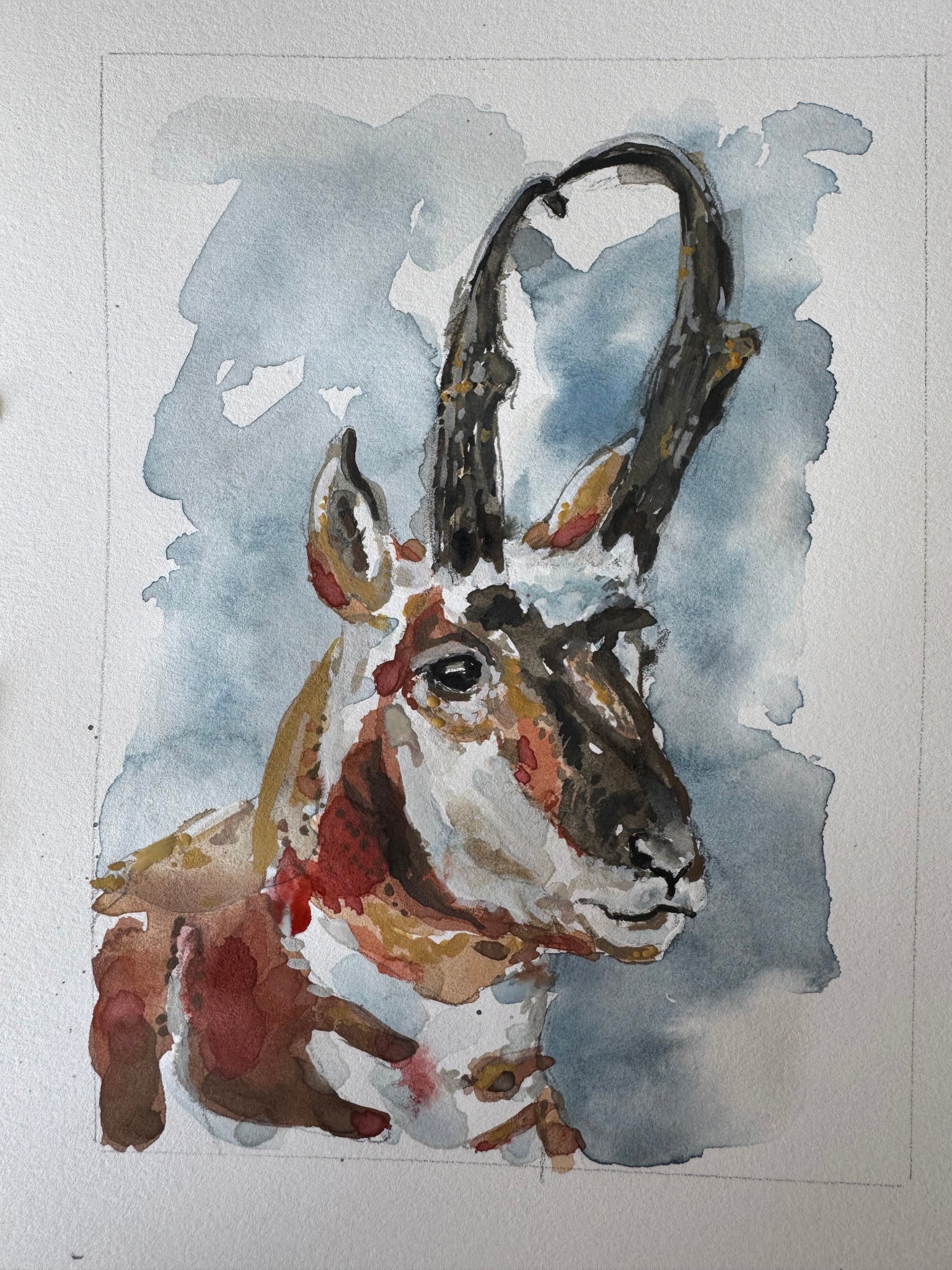 Speed goat