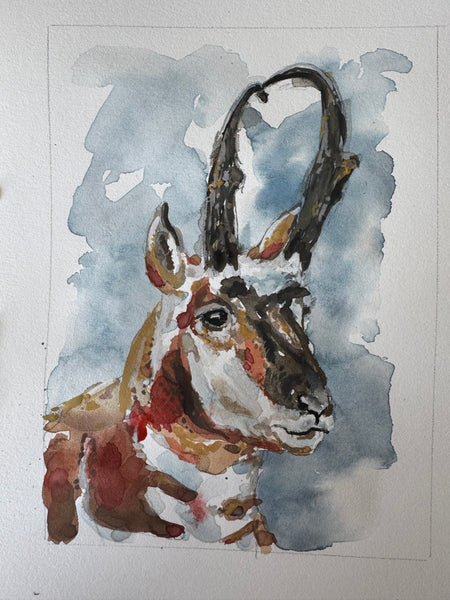 Speed goat