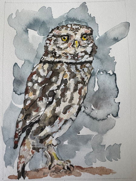Burrowing Owl