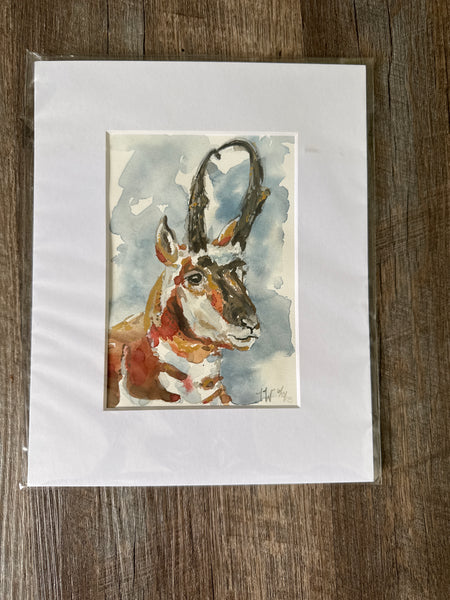 Speed goat