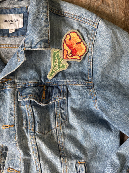 California Poppy