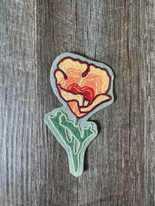 California Poppy